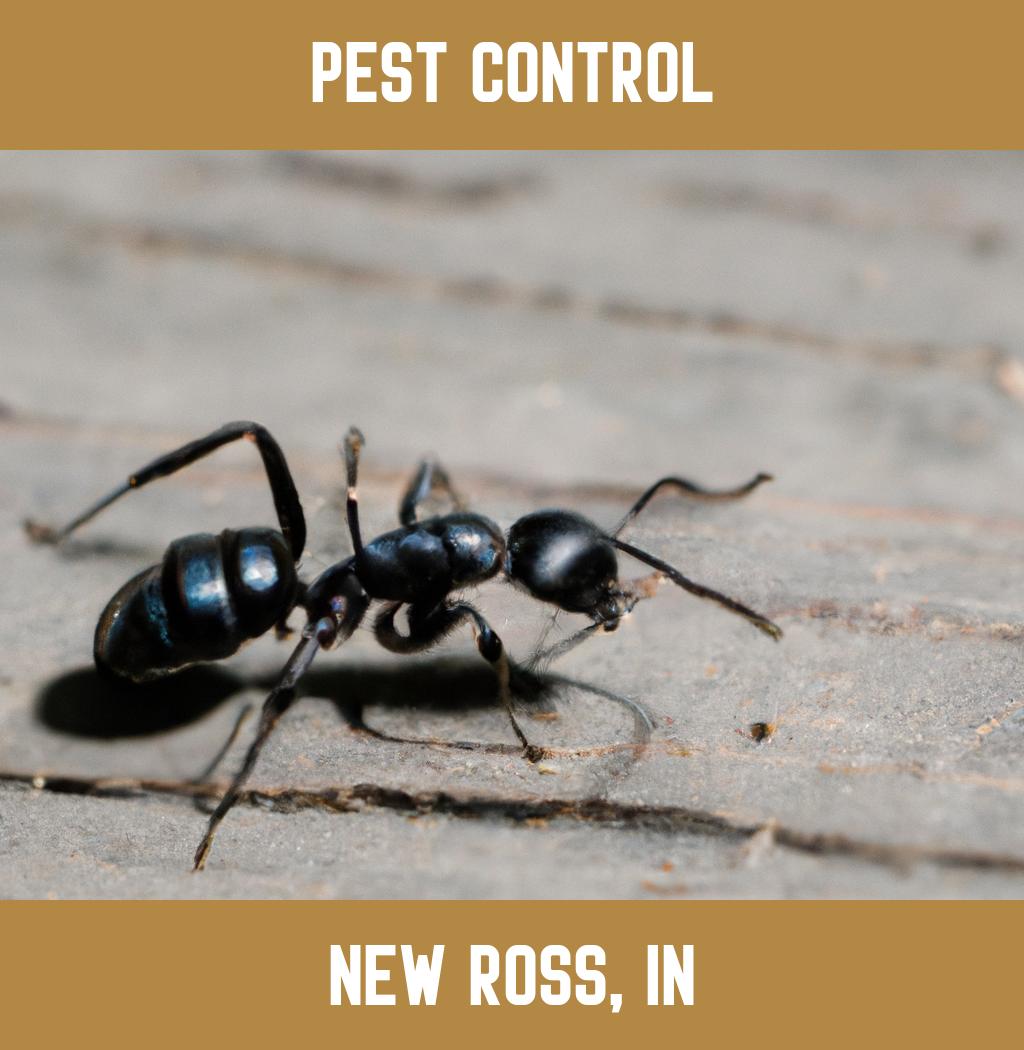 pest control in New Ross Indiana