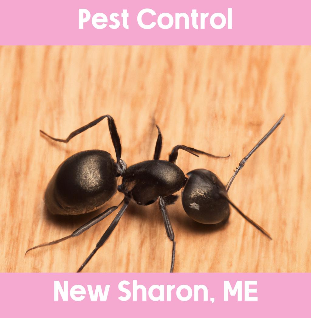 pest control in New Sharon Maine