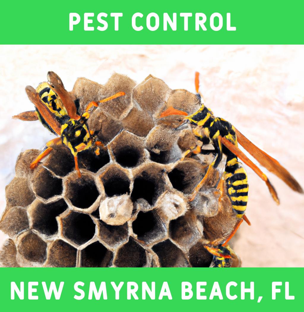 pest control in New Smyrna Beach Florida