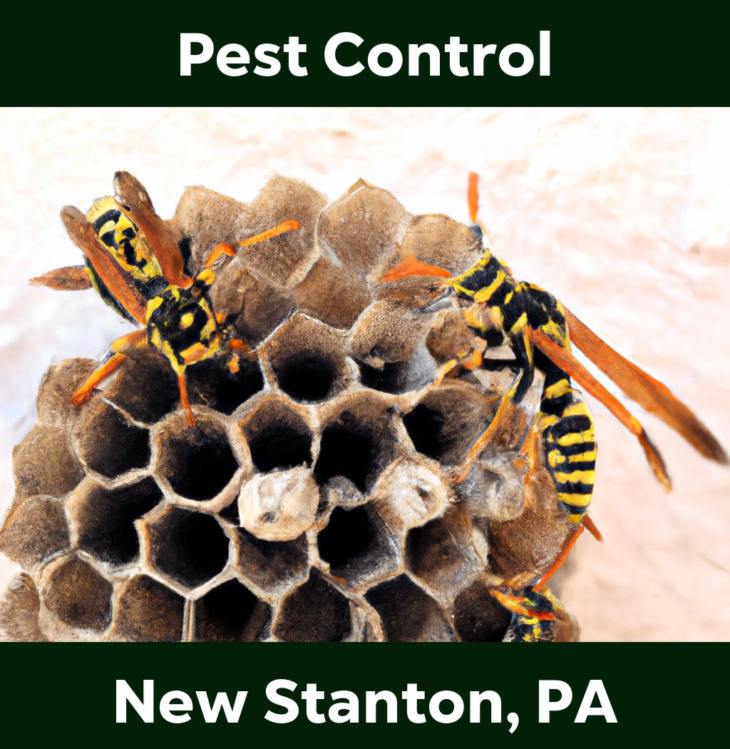 pest control in New Stanton Pennsylvania
