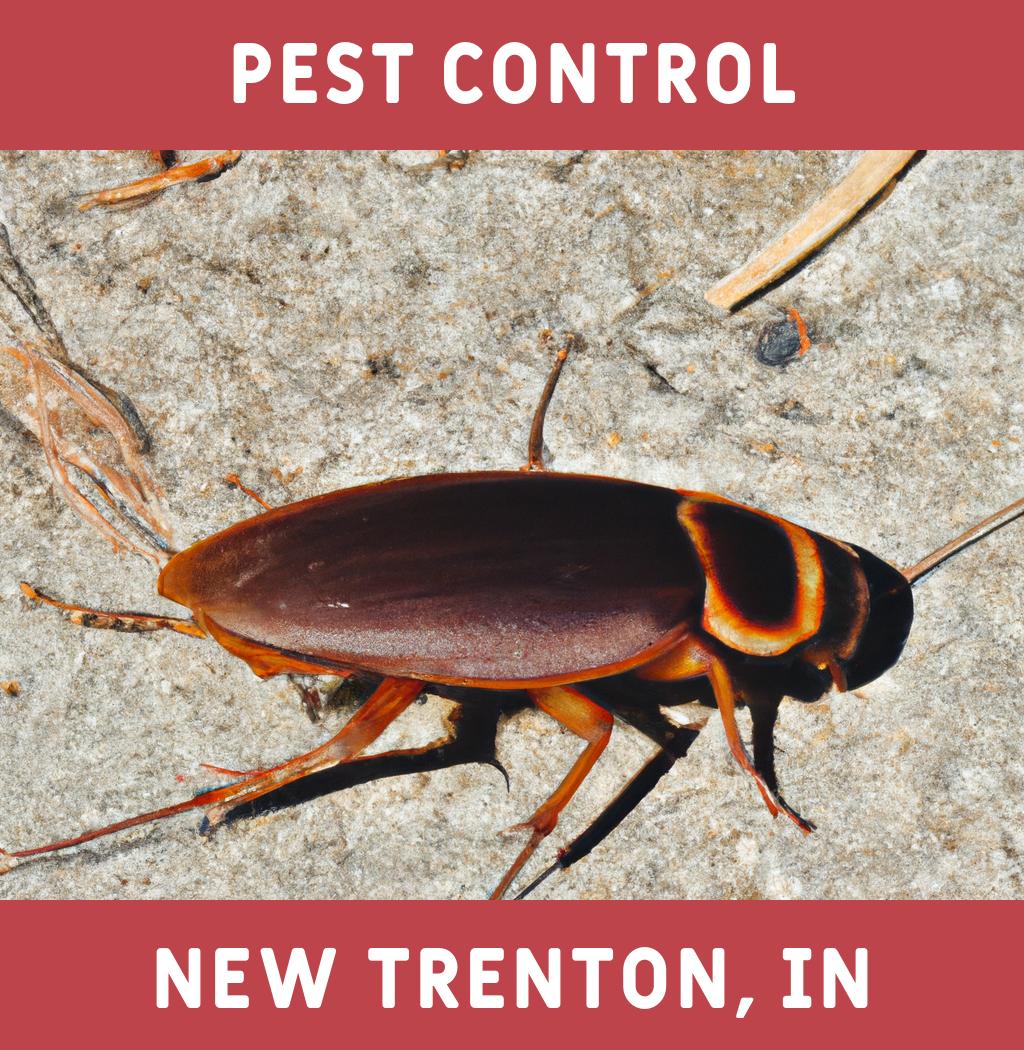 pest control in New Trenton Indiana