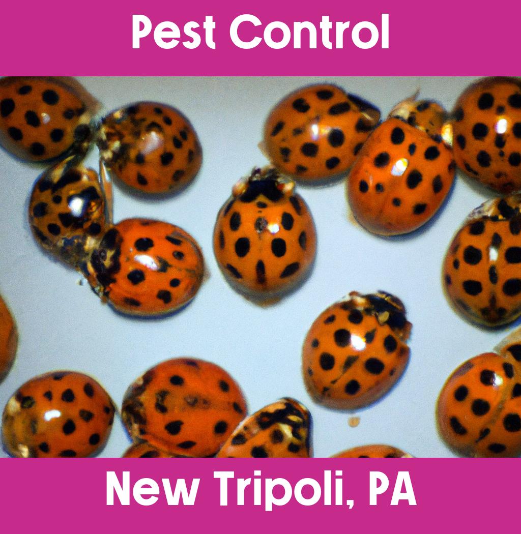 pest control in New Tripoli Pennsylvania