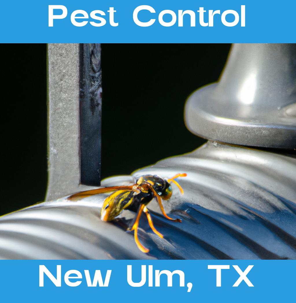 pest control in New Ulm Texas