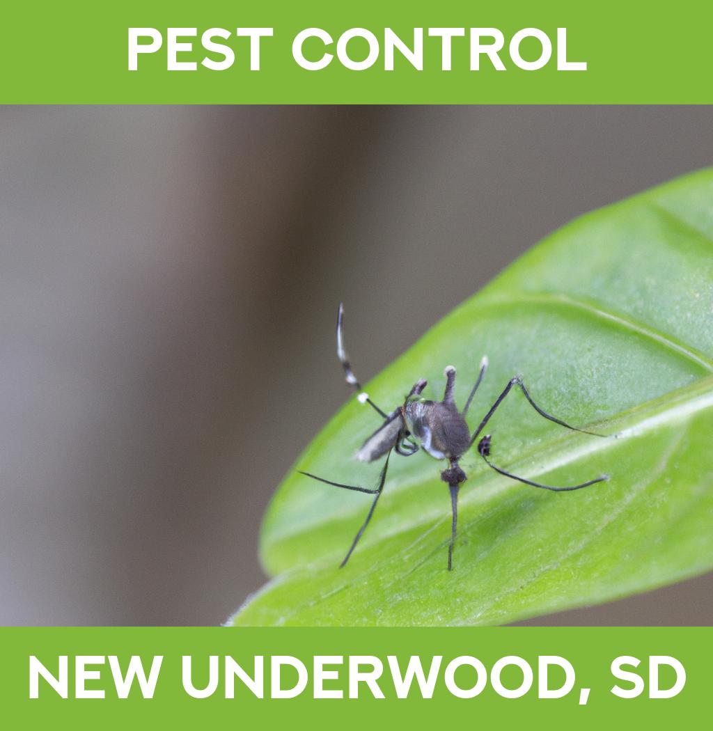 pest control in New Underwood South Dakota