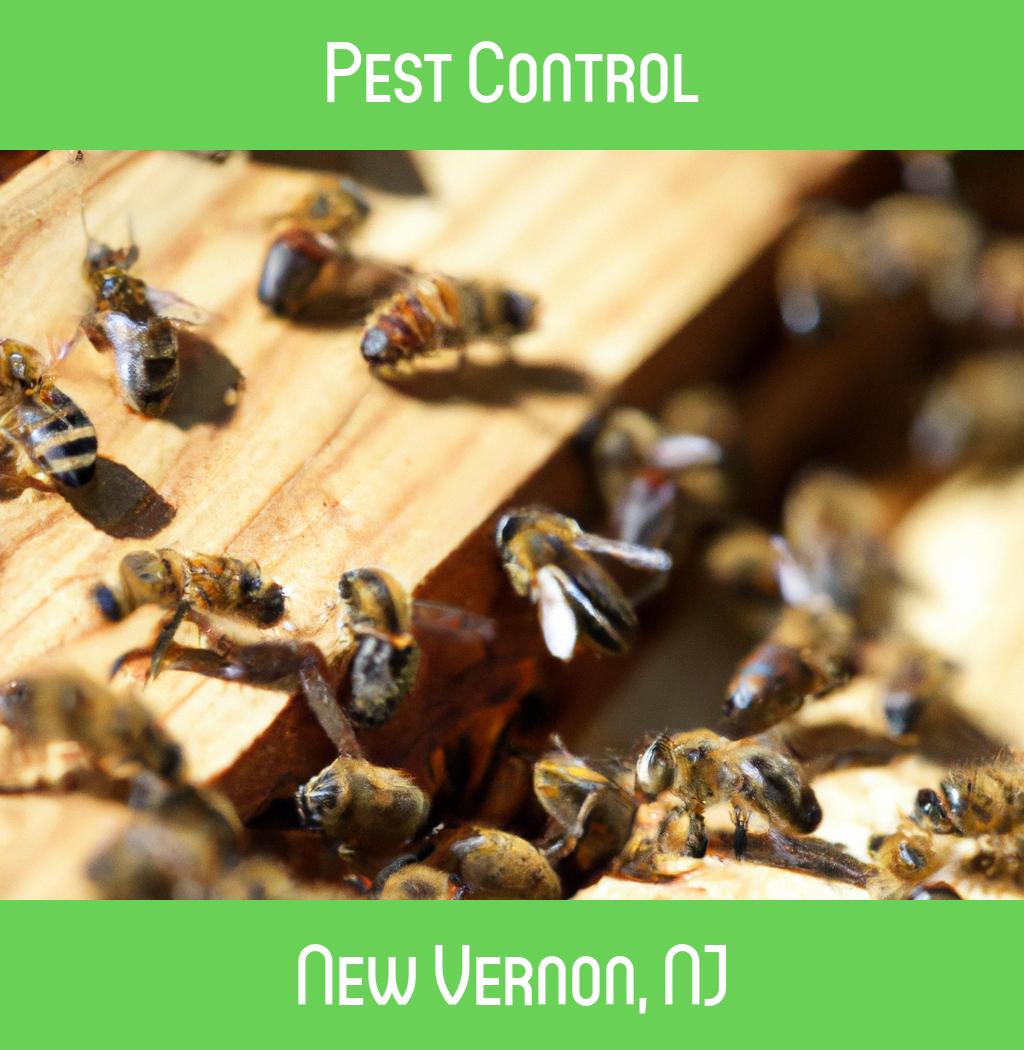 pest control in New Vernon New Jersey