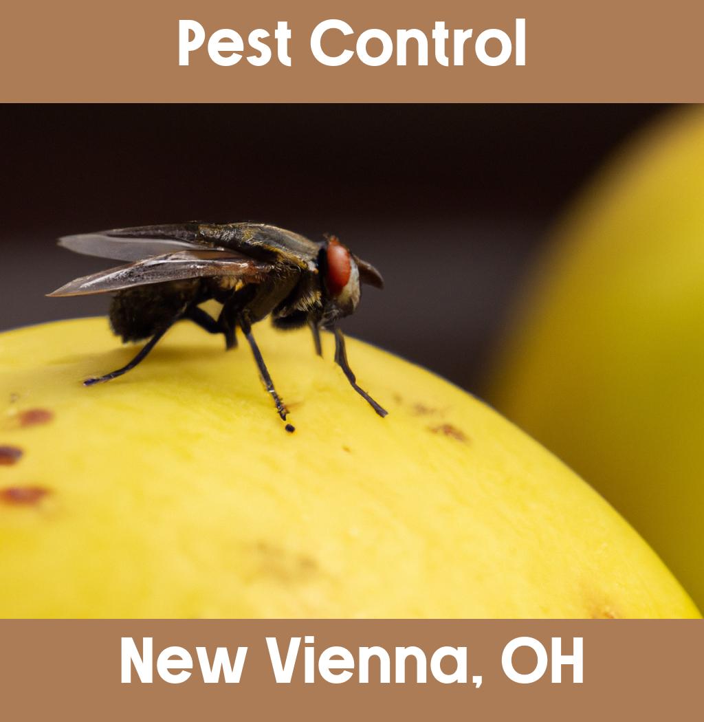 pest control in New Vienna Ohio