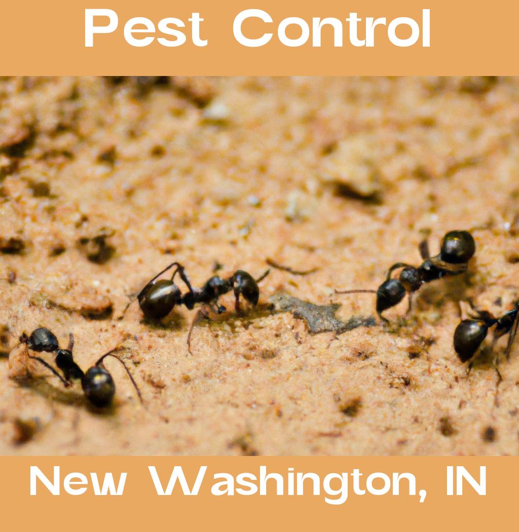 pest control in New Washington Indiana