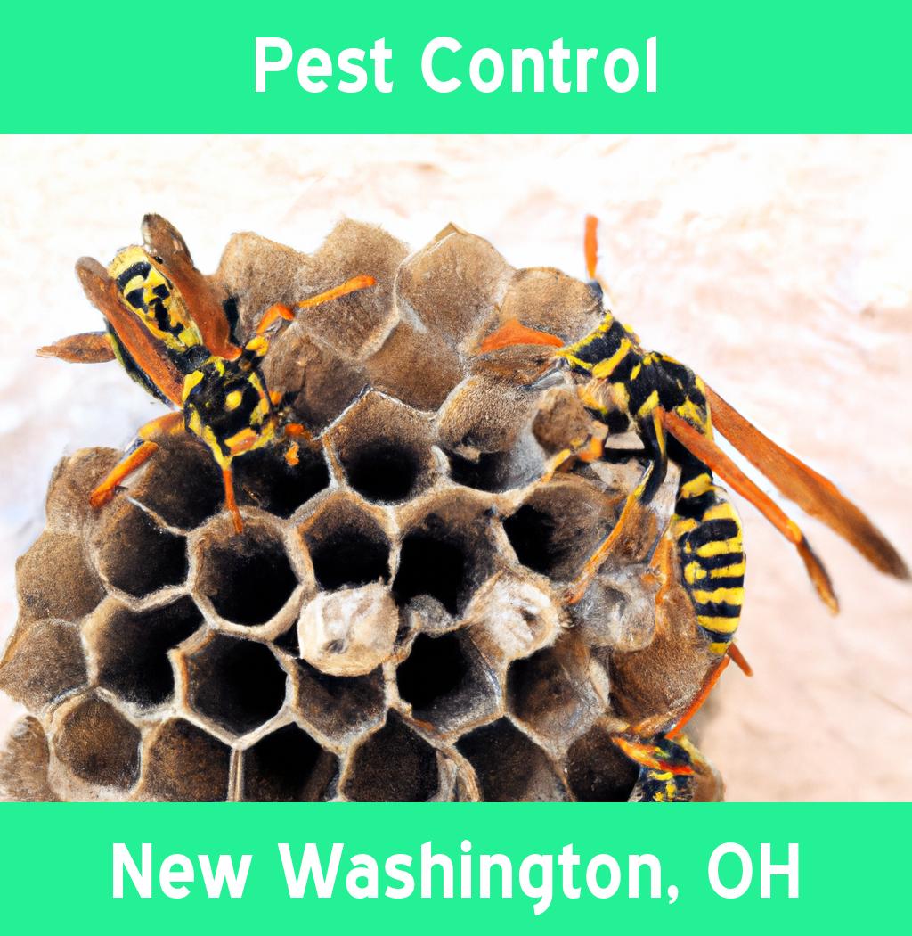 pest control in New Washington Ohio