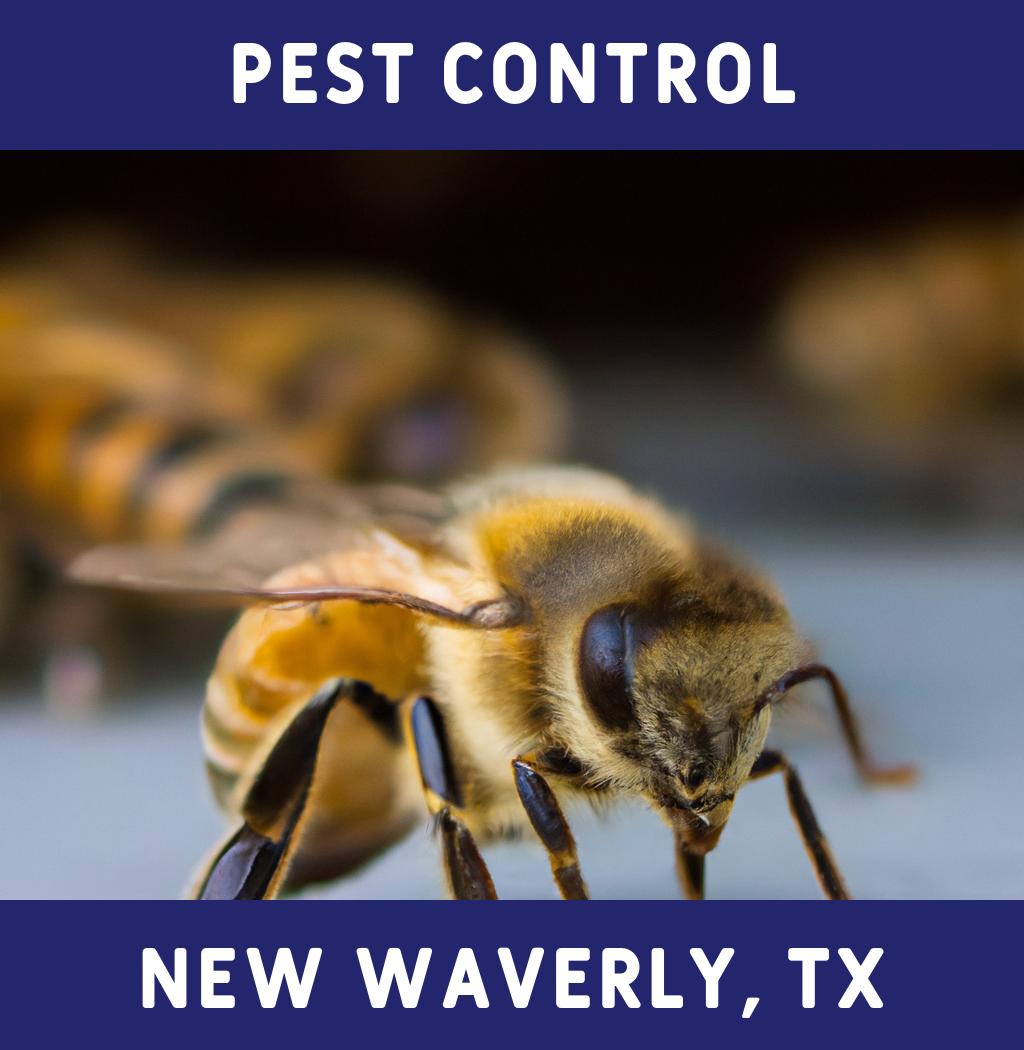 pest control in New Waverly Texas