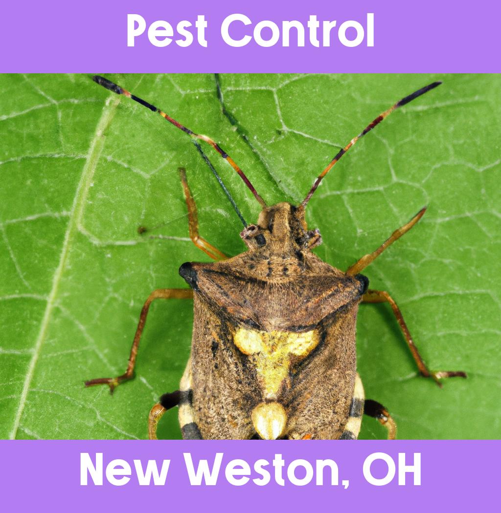 pest control in New Weston Ohio