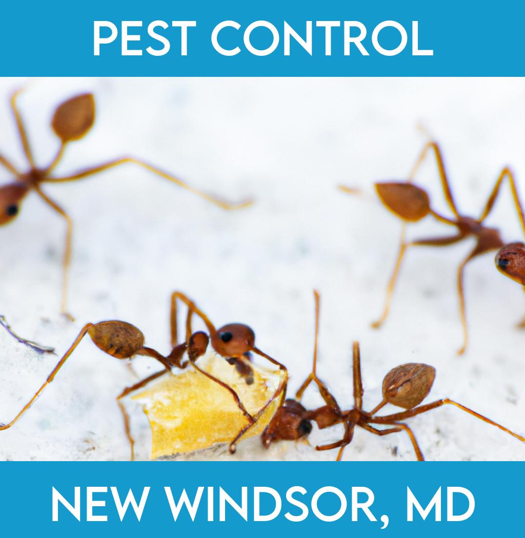 pest control in New Windsor Maryland