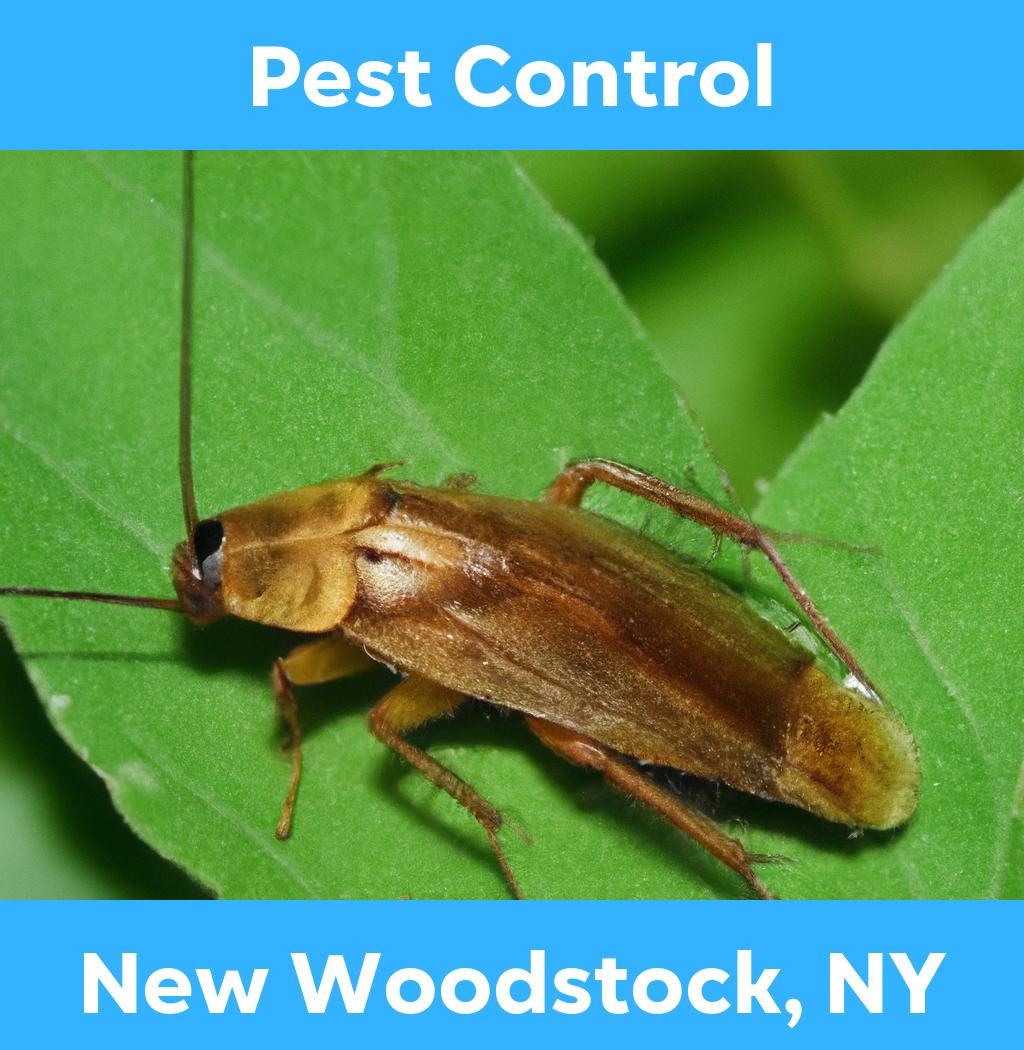 pest control in New Woodstock New York