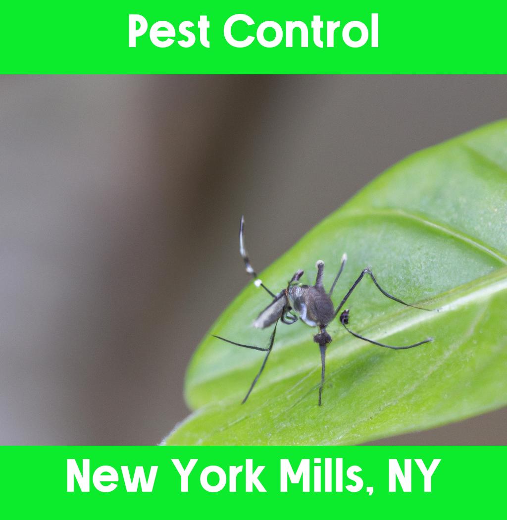pest control in New York Mills New York