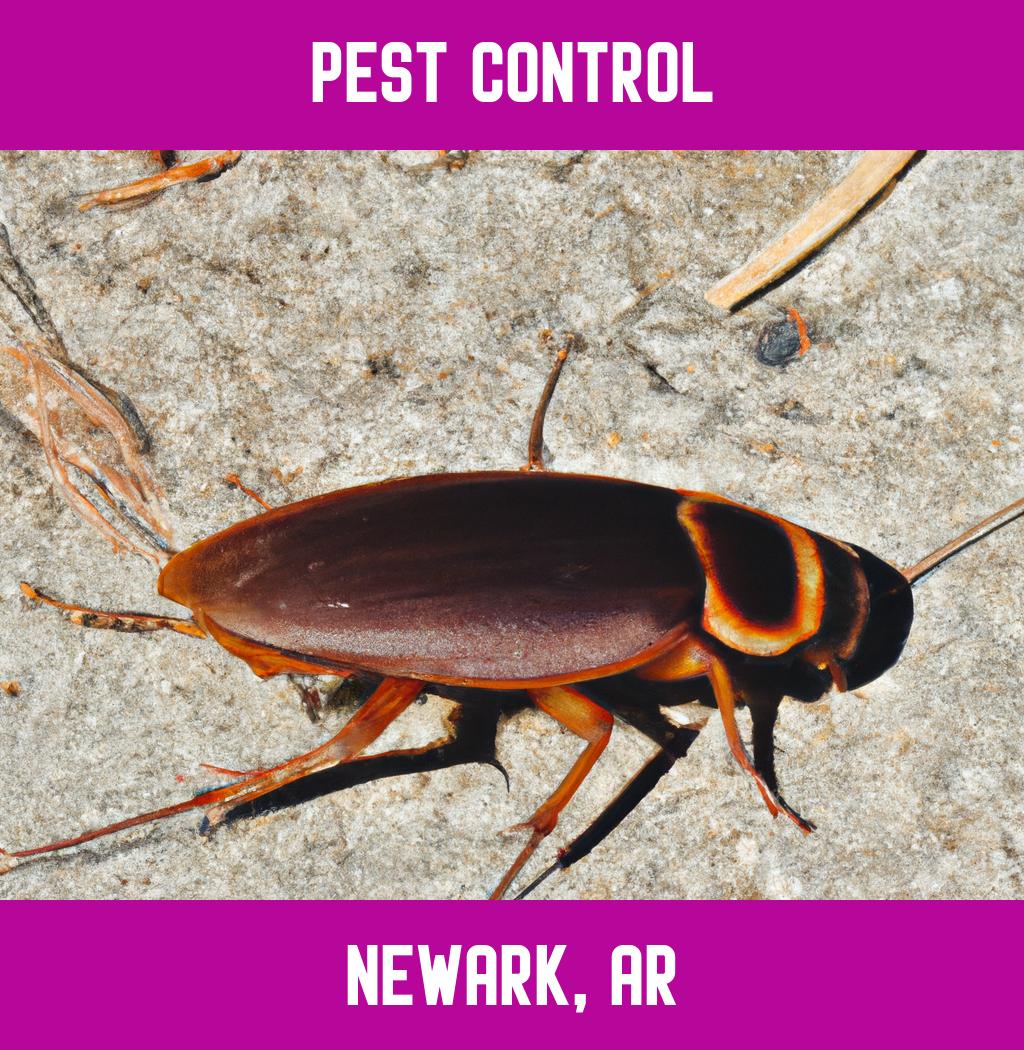 pest control in Newark Arkansas