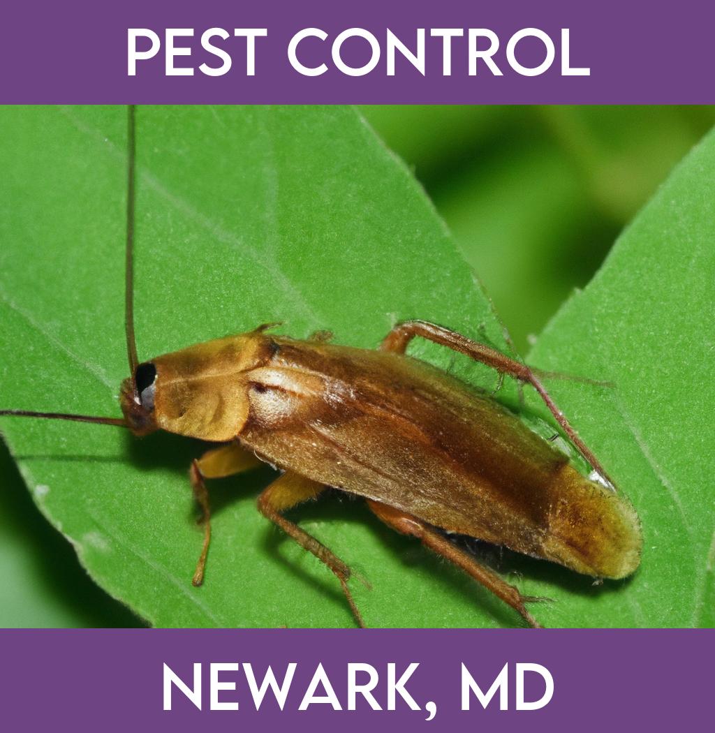 pest control in Newark Maryland