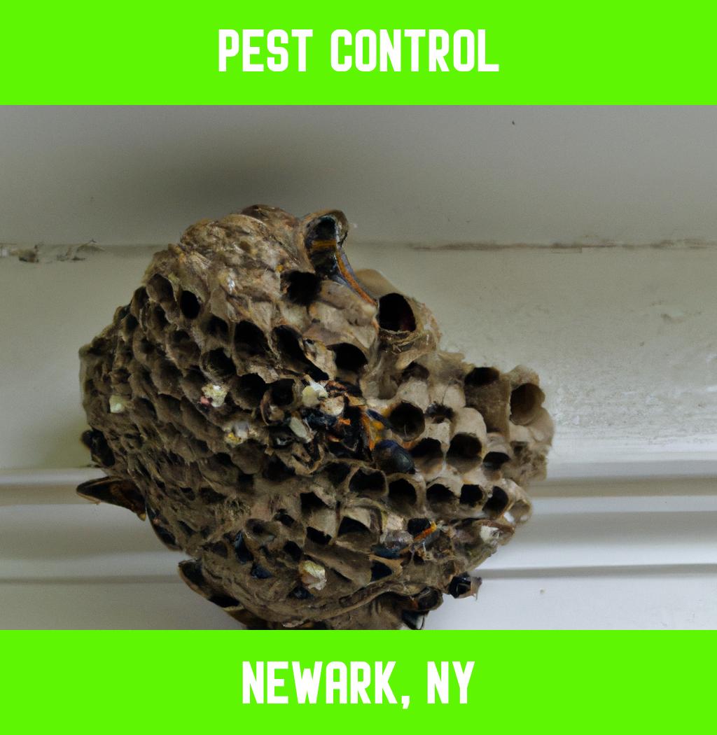 pest control in Newark New York