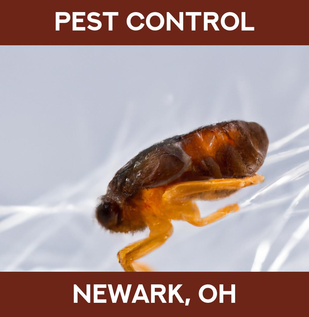 pest control in Newark Ohio