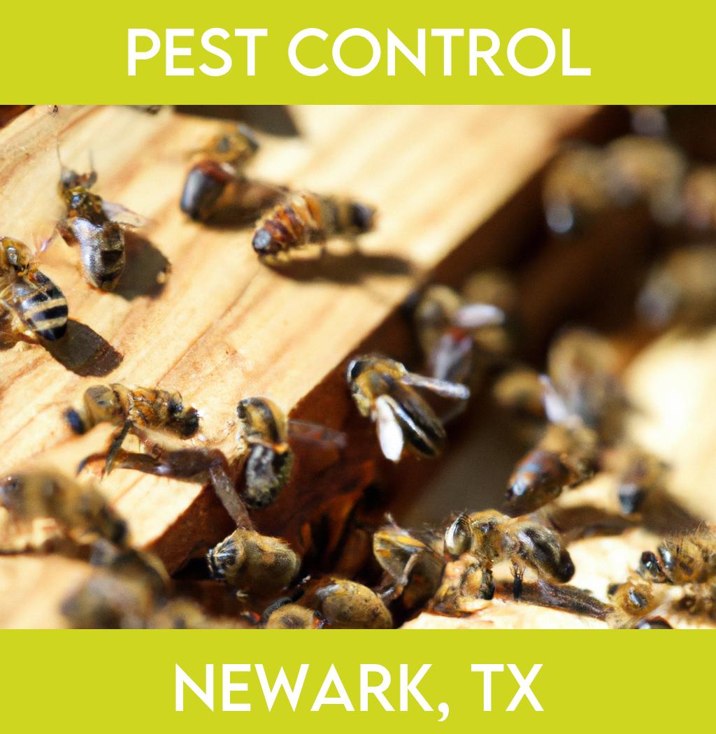 pest control in Newark Texas