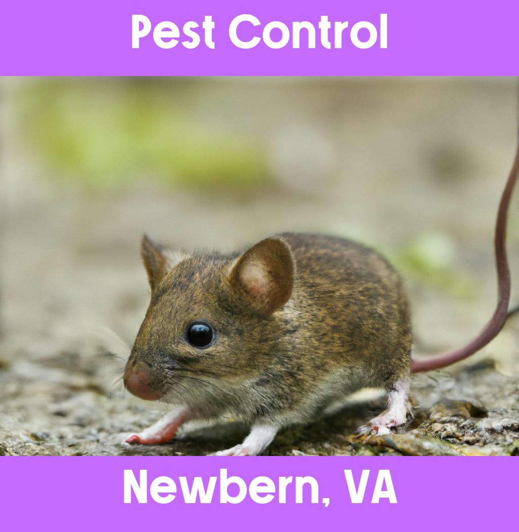 pest control in Newbern Virginia