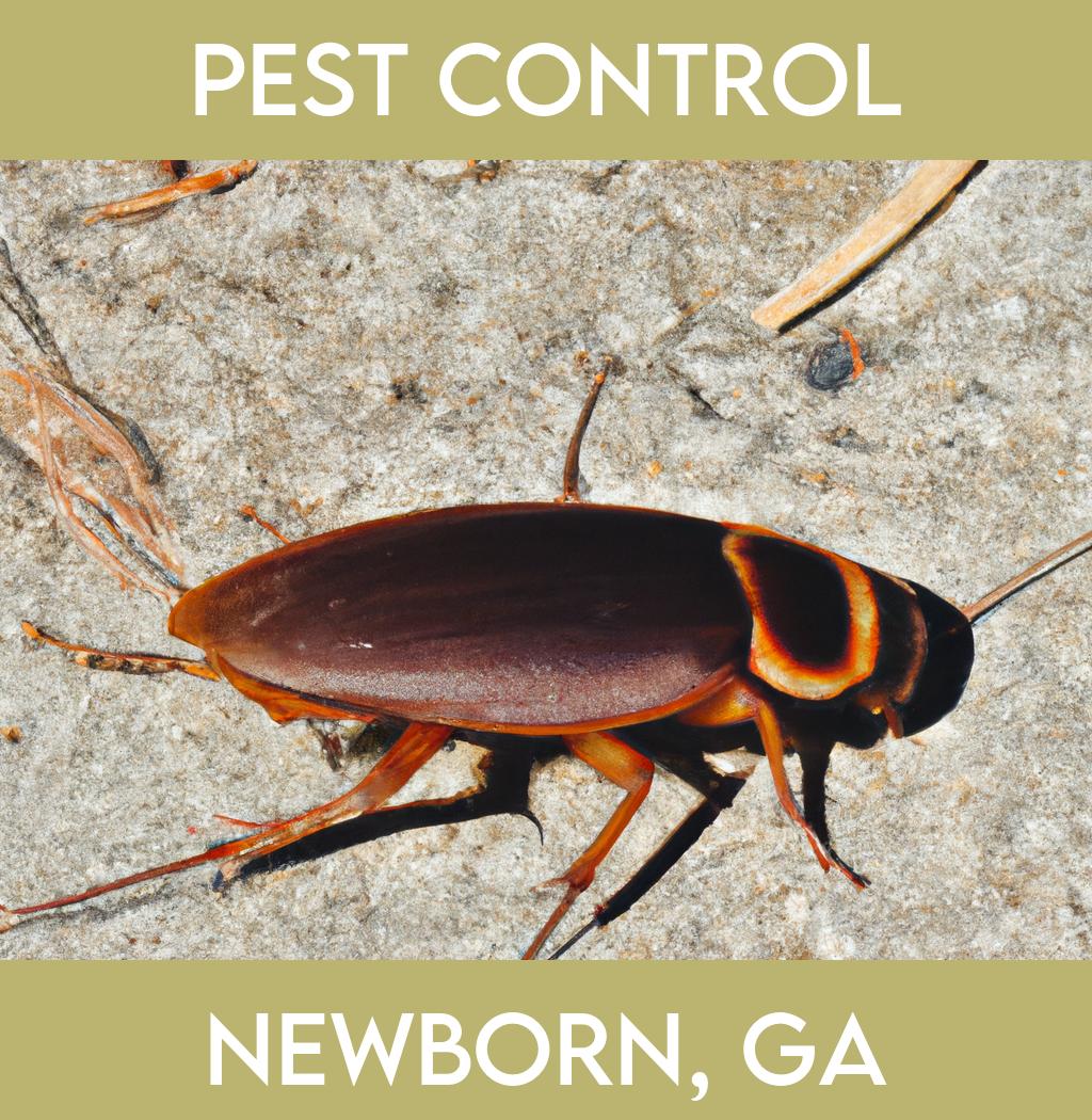pest control in Newborn Georgia