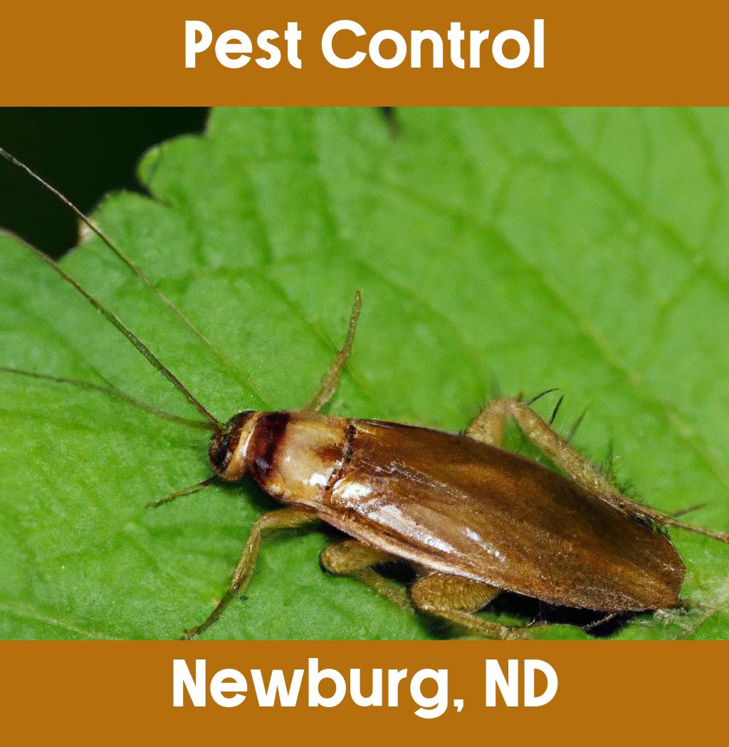 pest control in Newburg North Dakota