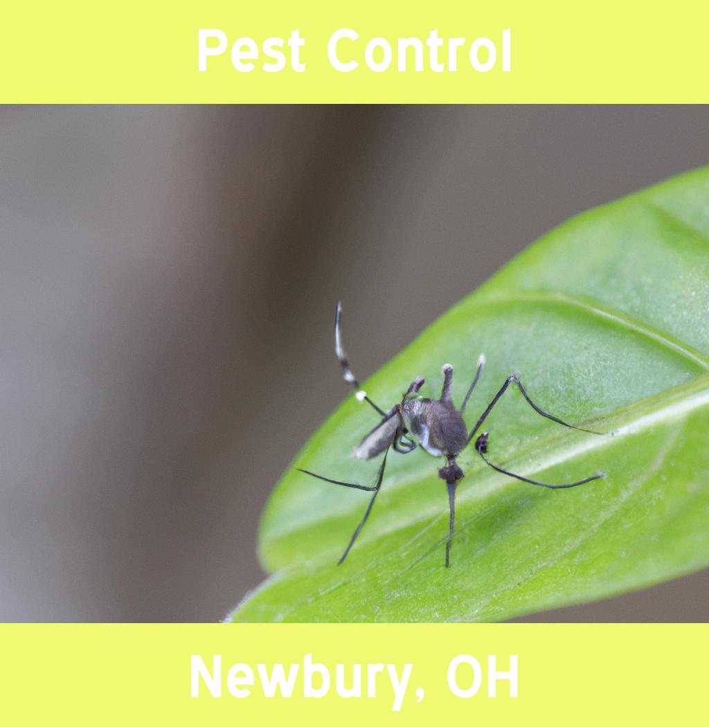 pest control in Newbury Ohio