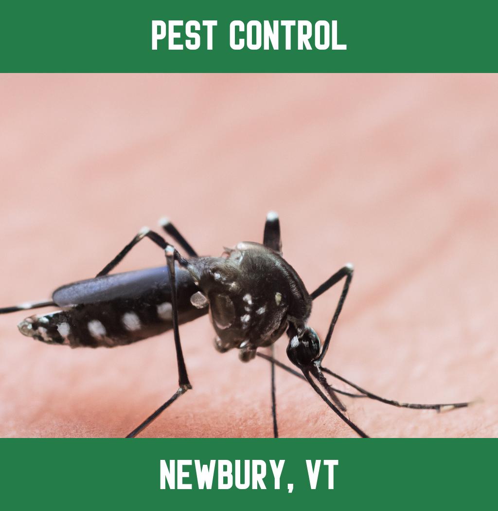 pest control in Newbury Vermont