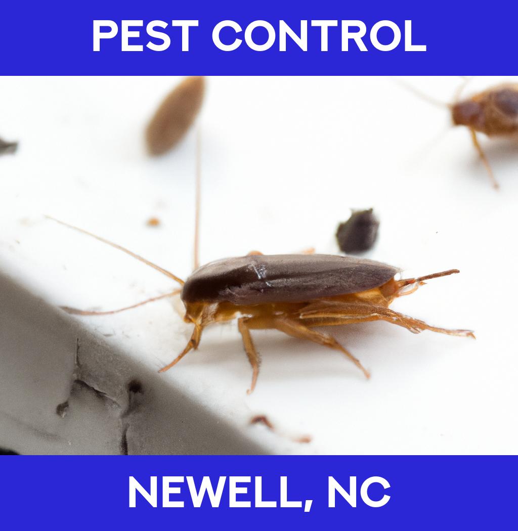 pest control in Newell North Carolina
