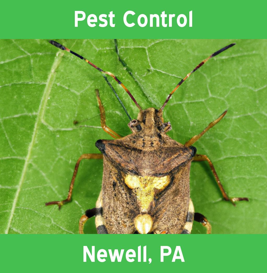 pest control in Newell Pennsylvania