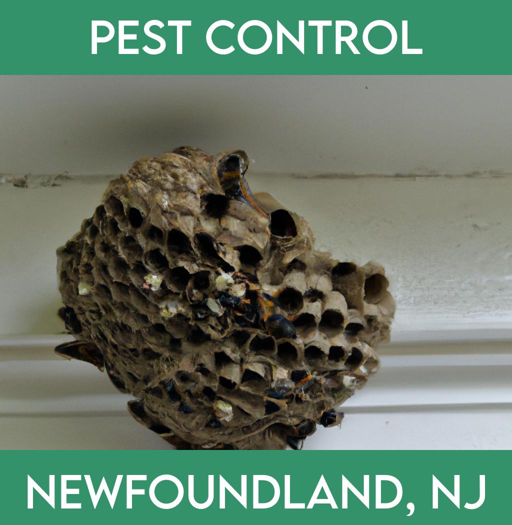 pest control in Newfoundland New Jersey