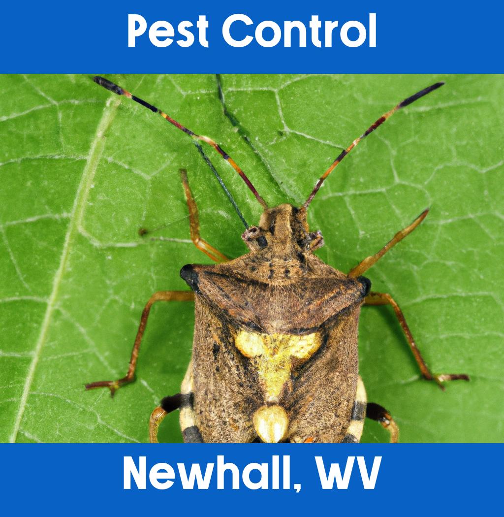pest control in Newhall West Virginia