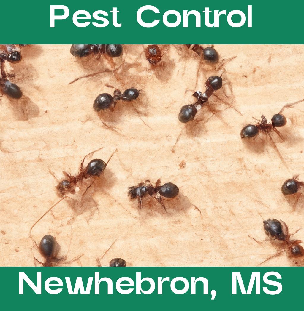 pest control in Newhebron Mississippi