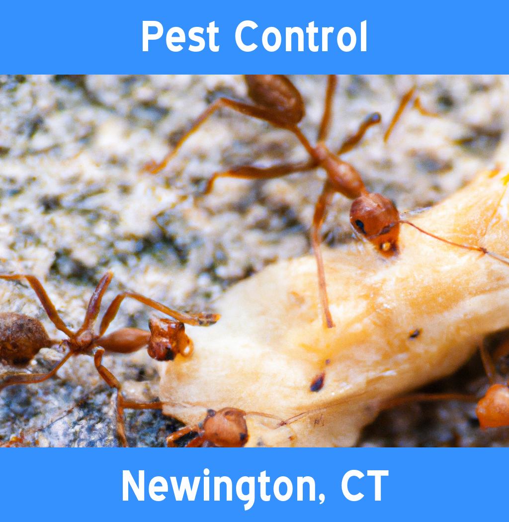 pest control in Newington Connecticut