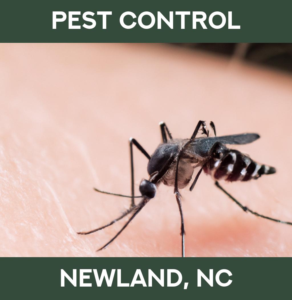 pest control in Newland North Carolina