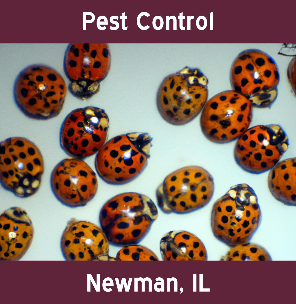 pest control in Newman Illinois
