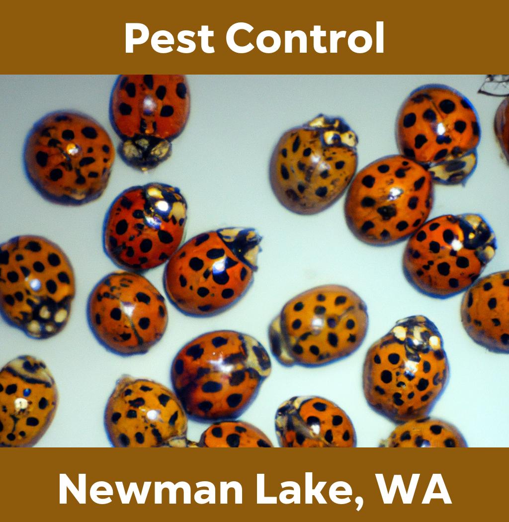 pest control in Newman Lake Washington