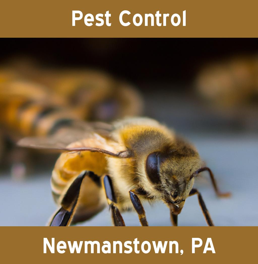 pest control in Newmanstown Pennsylvania