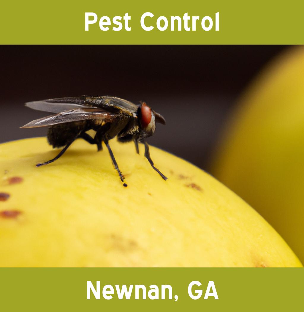 pest control in Newnan Georgia