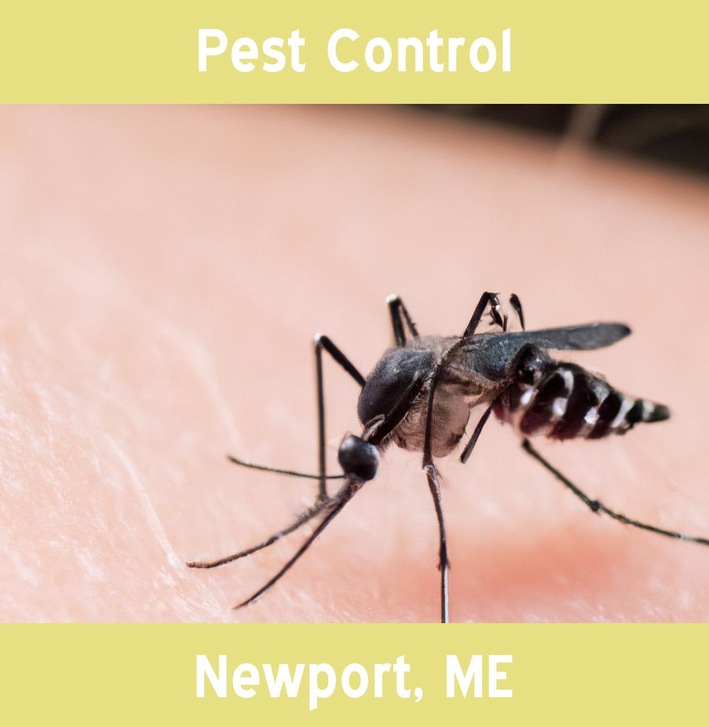 pest control in Newport Maine