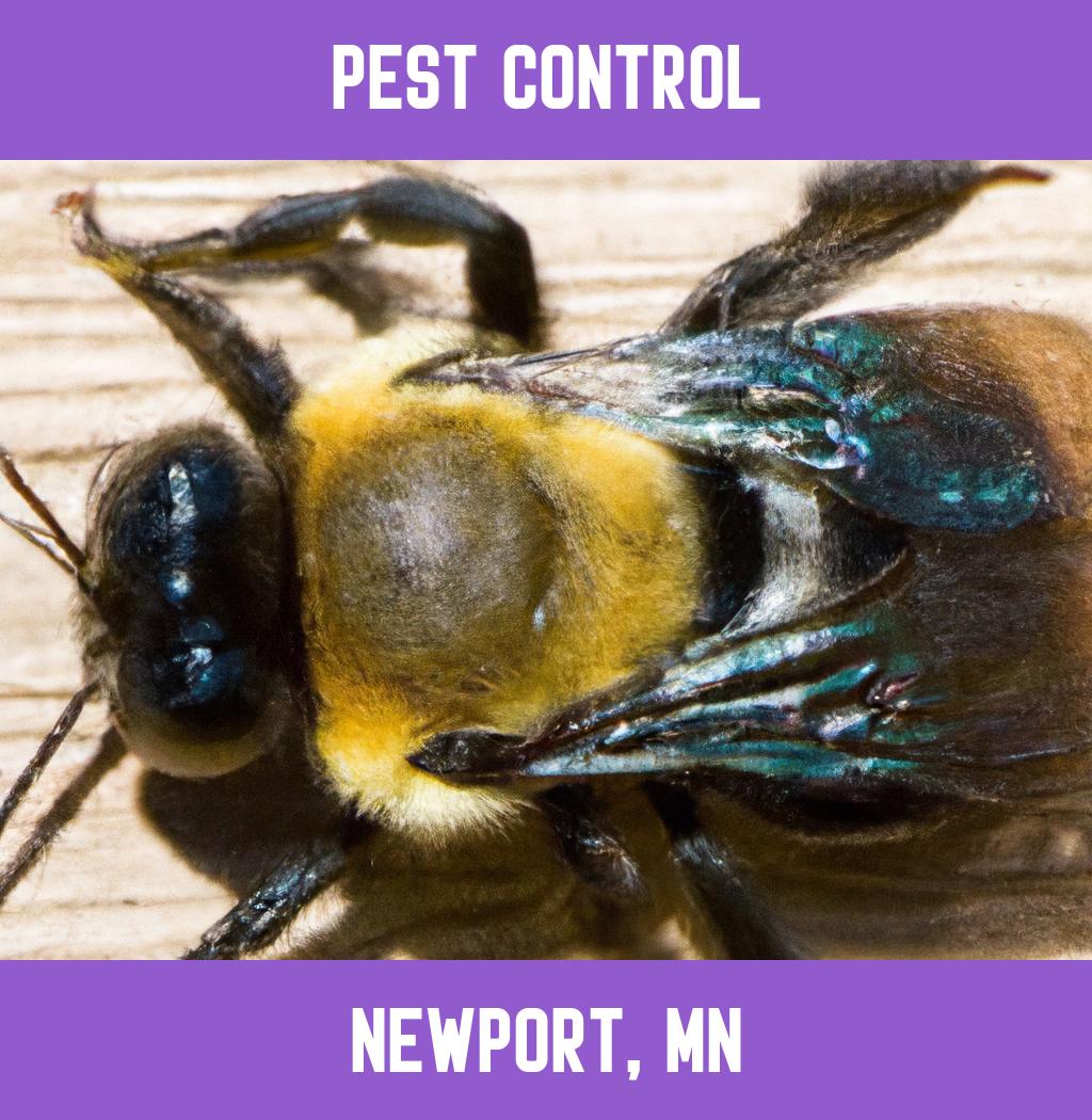 pest control in Newport Minnesota