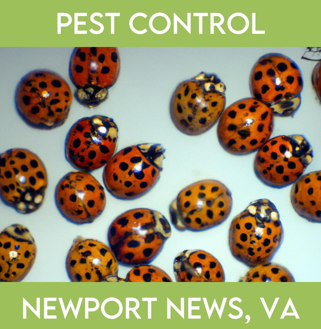 pest control in Newport News Virginia
