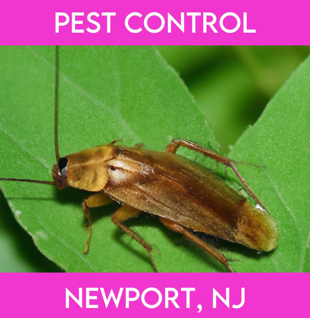 pest control in Newport New Jersey