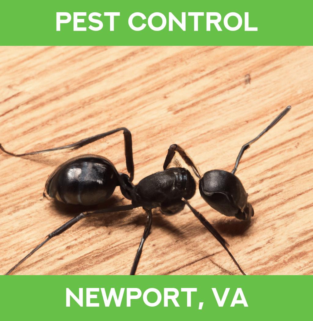 pest control in Newport Virginia