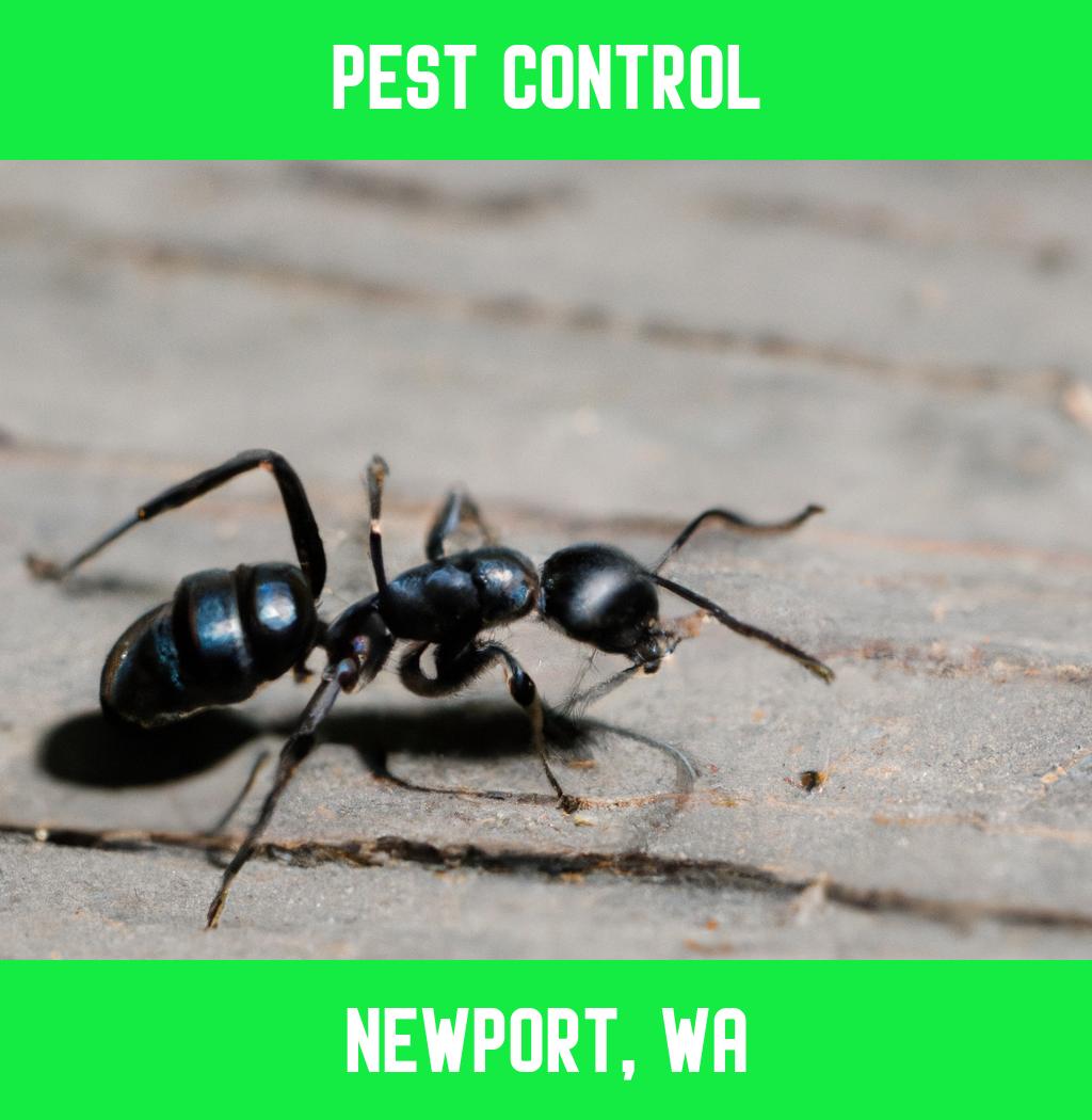 pest control in Newport Washington
