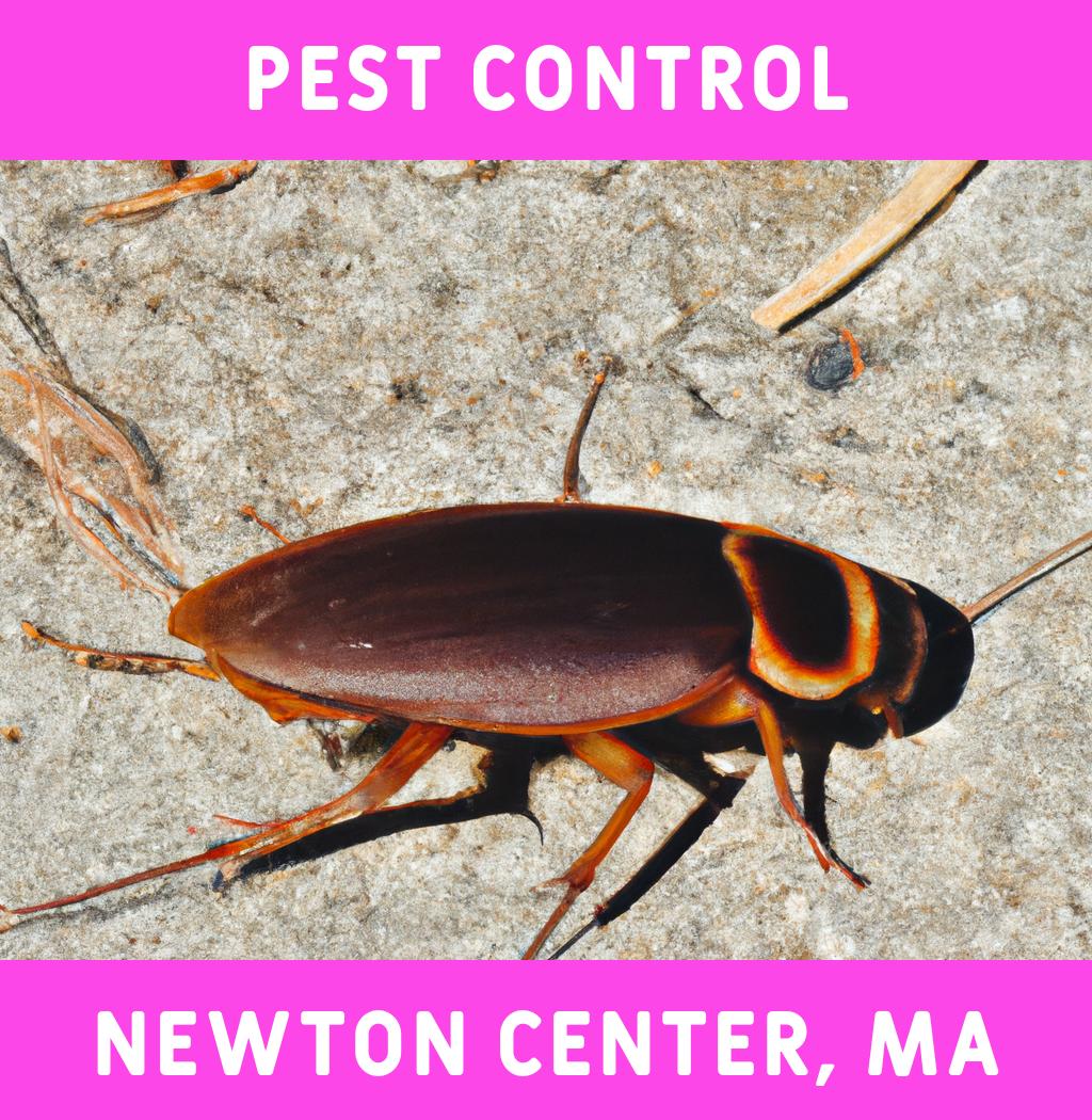 pest control in Newton Center Massachusetts