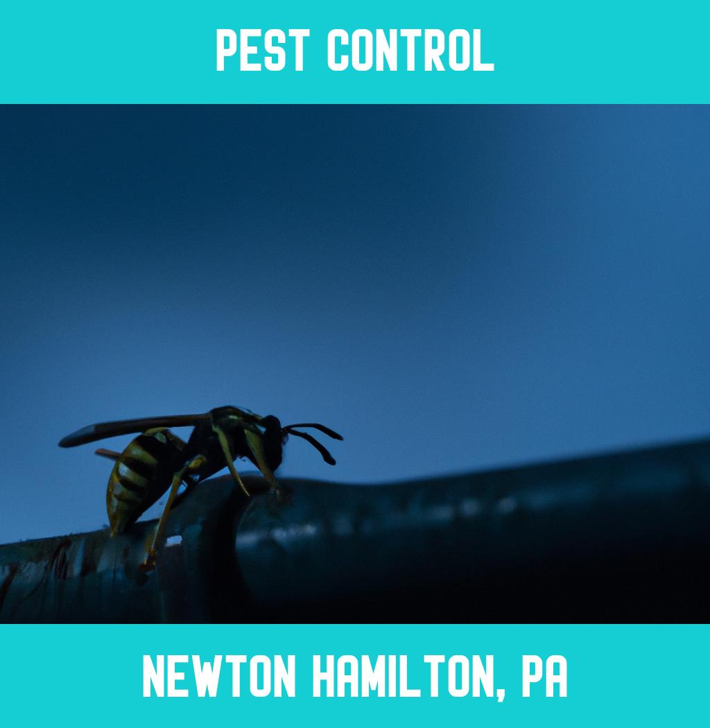 pest control in Newton Hamilton Pennsylvania