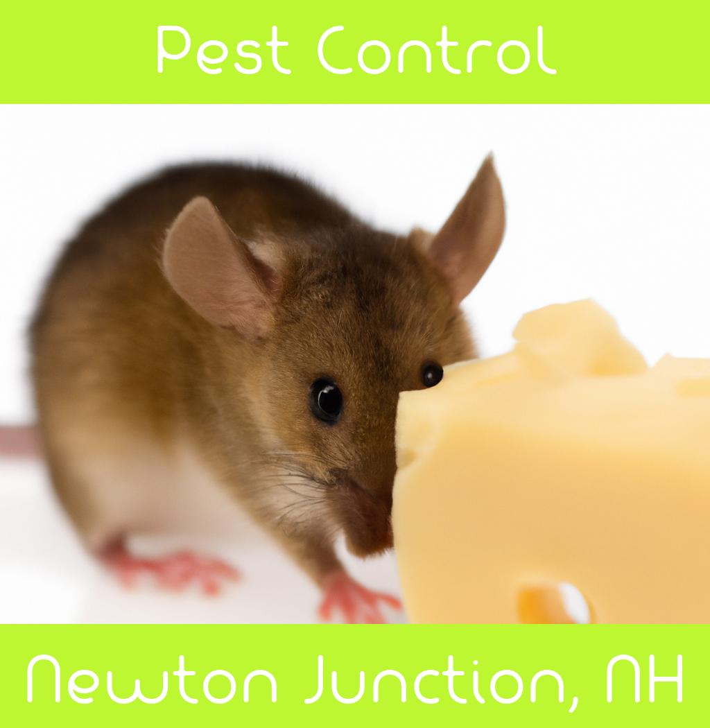 pest control in Newton Junction New Hampshire