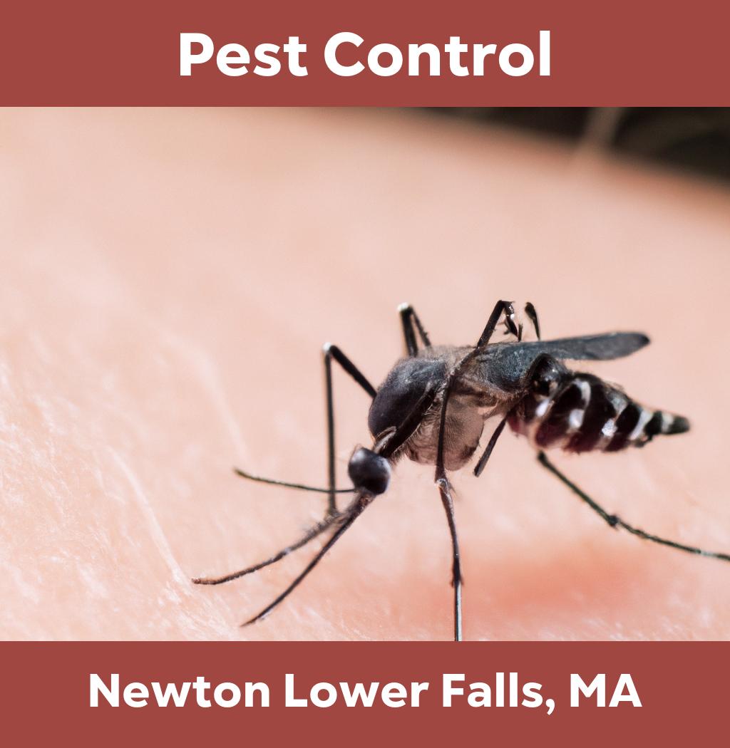 pest control in Newton Lower Falls Massachusetts