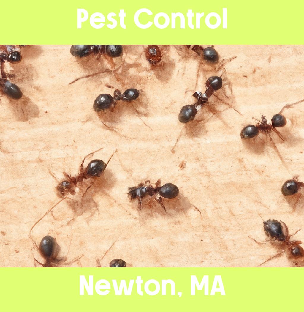 pest control in Newton Massachusetts