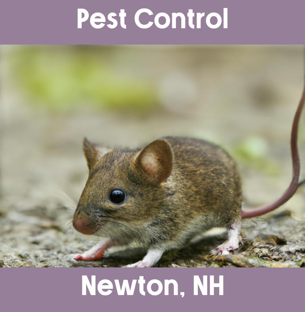 pest control in Newton New Hampshire